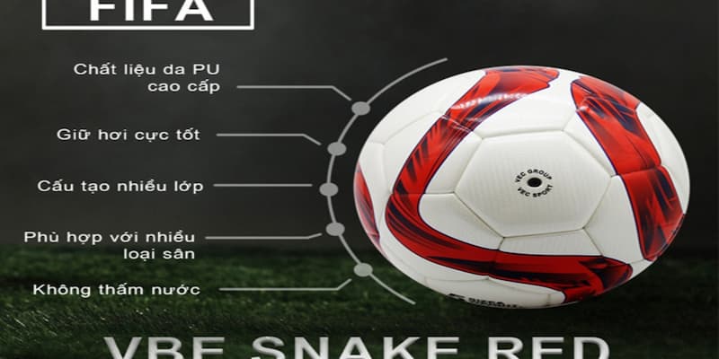 quả bóng tiêu chuẩn FIFA